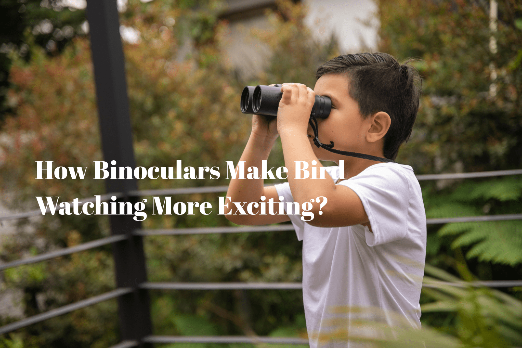 How Binoculars Make Bird Watching More Exciting? - Luzsco