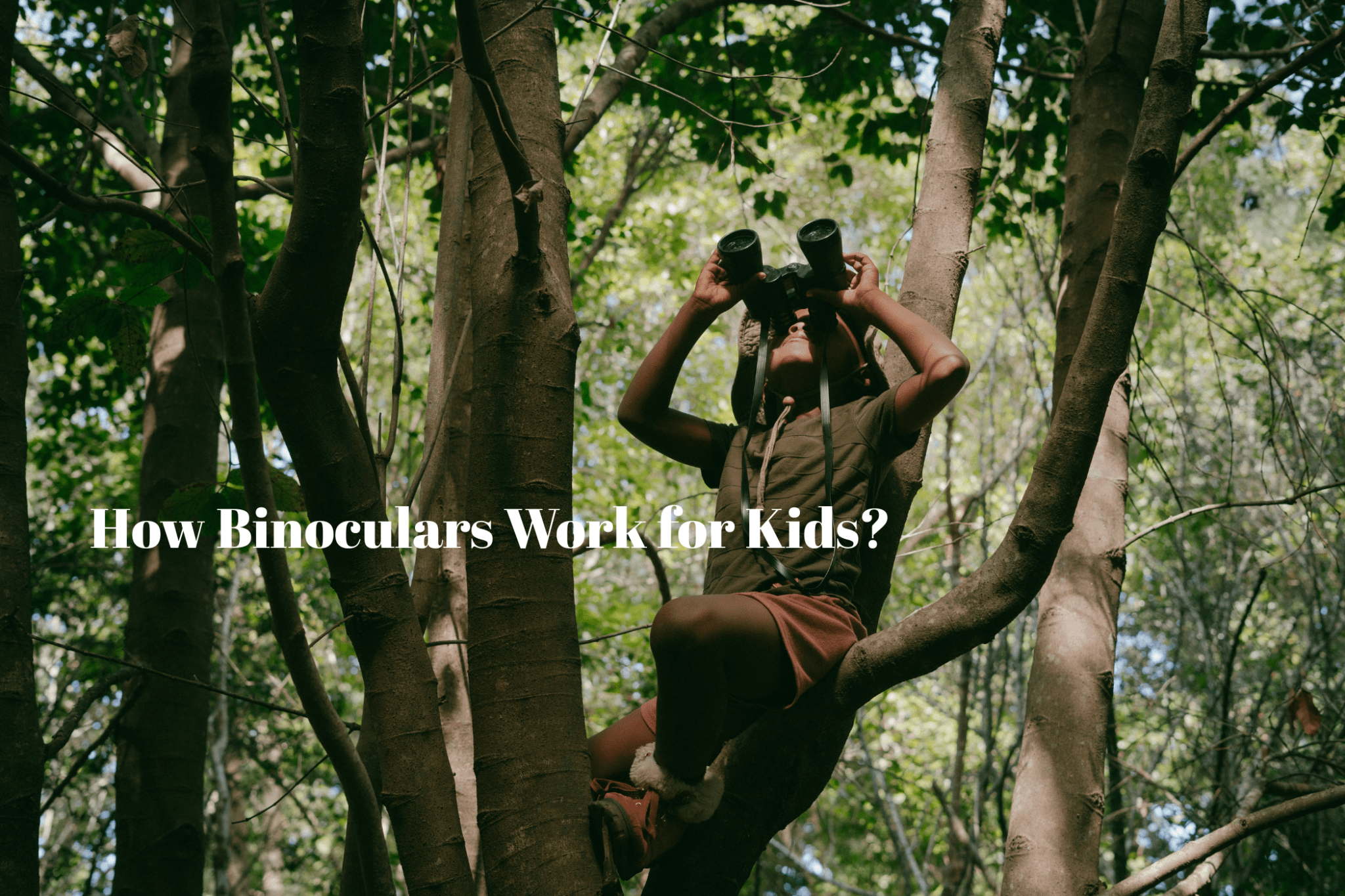 How Binoculars Work for Kids? - Luzsco