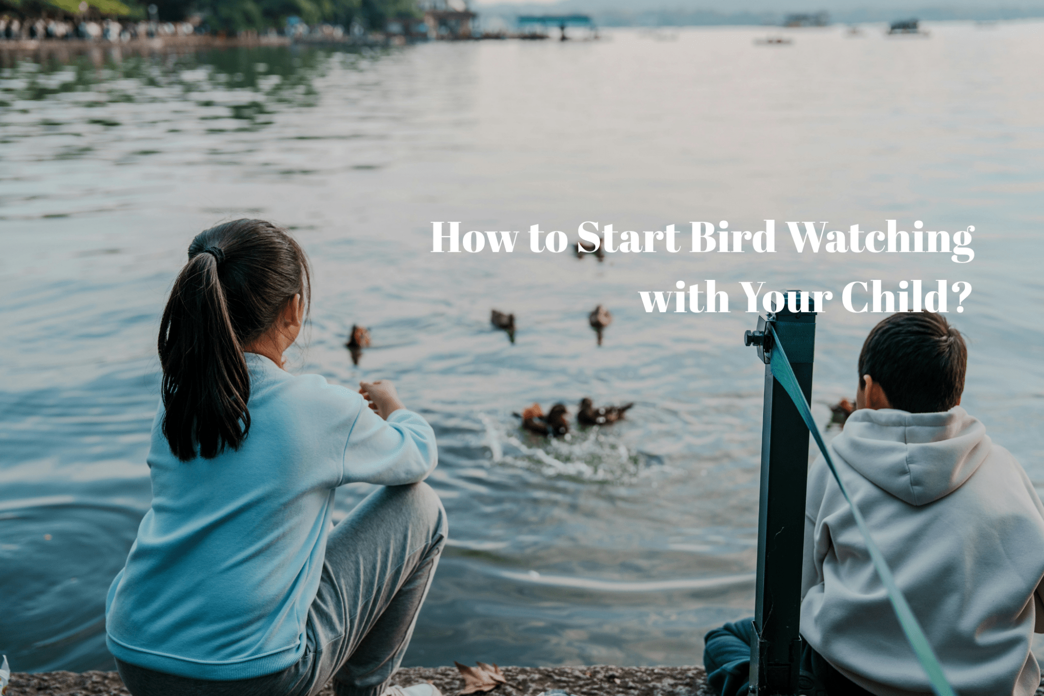 How to Start Bird Watching with Your Child: A Beginner’s Guide - Luzsco