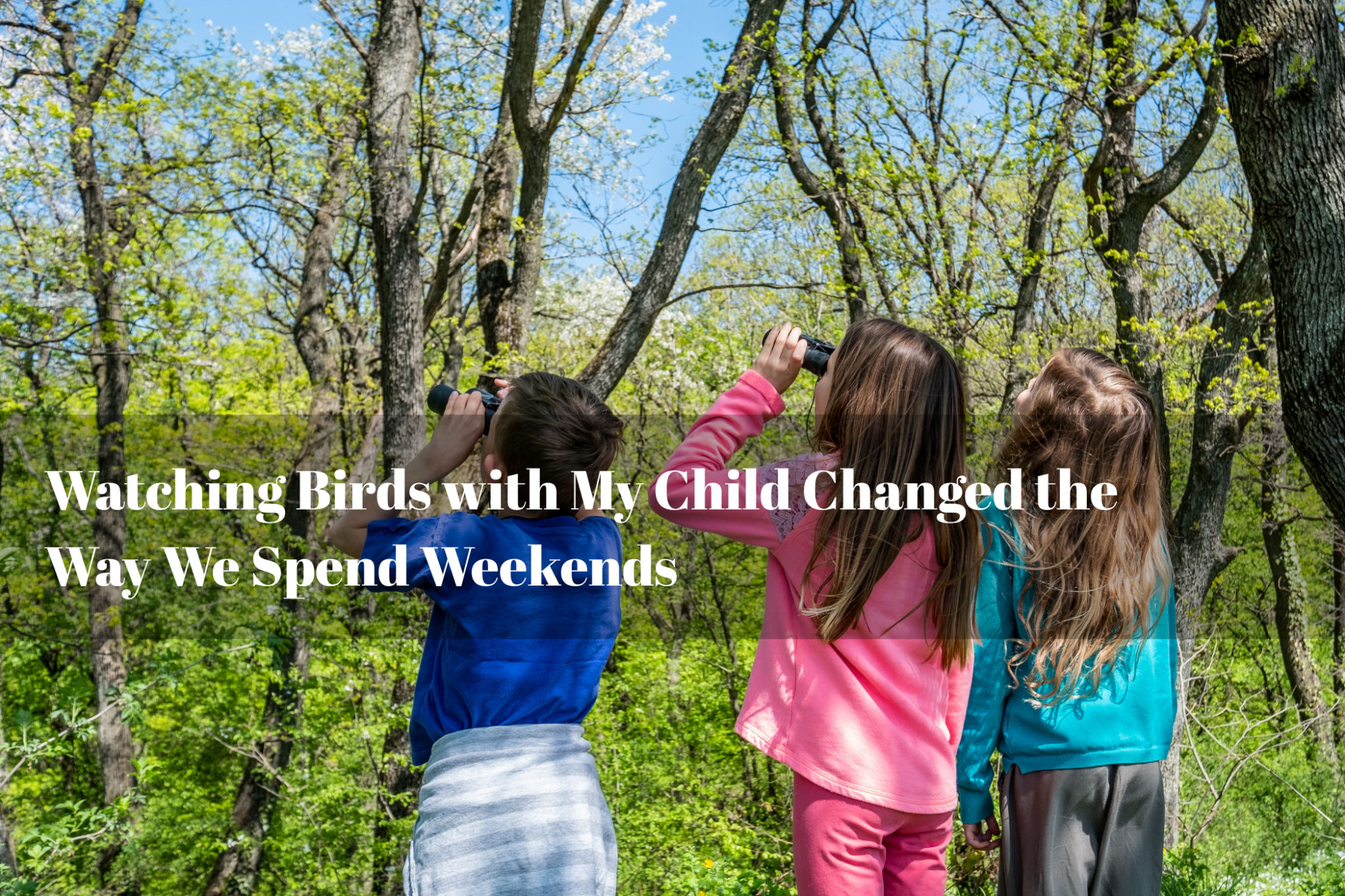 Watching Birds with My Child Changed the Way We Spend Weekends - Luzsco