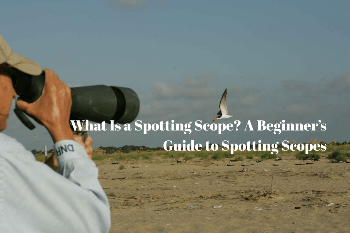 What Is a Spotting Scope? A Beginner’s Guide to Spotting Scopes - Luzsco