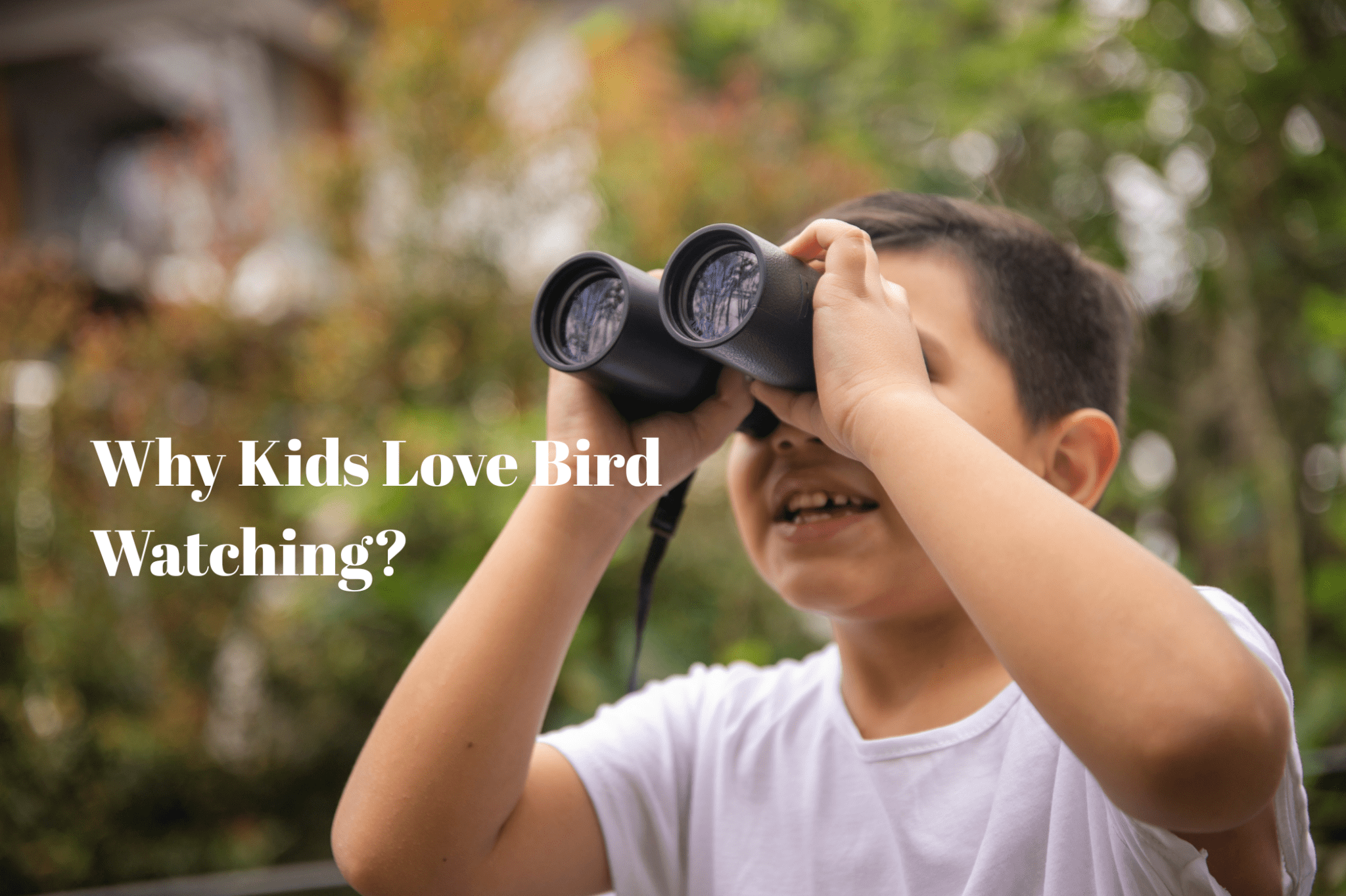 Why Kids Love Bird Watching? - Luzsco