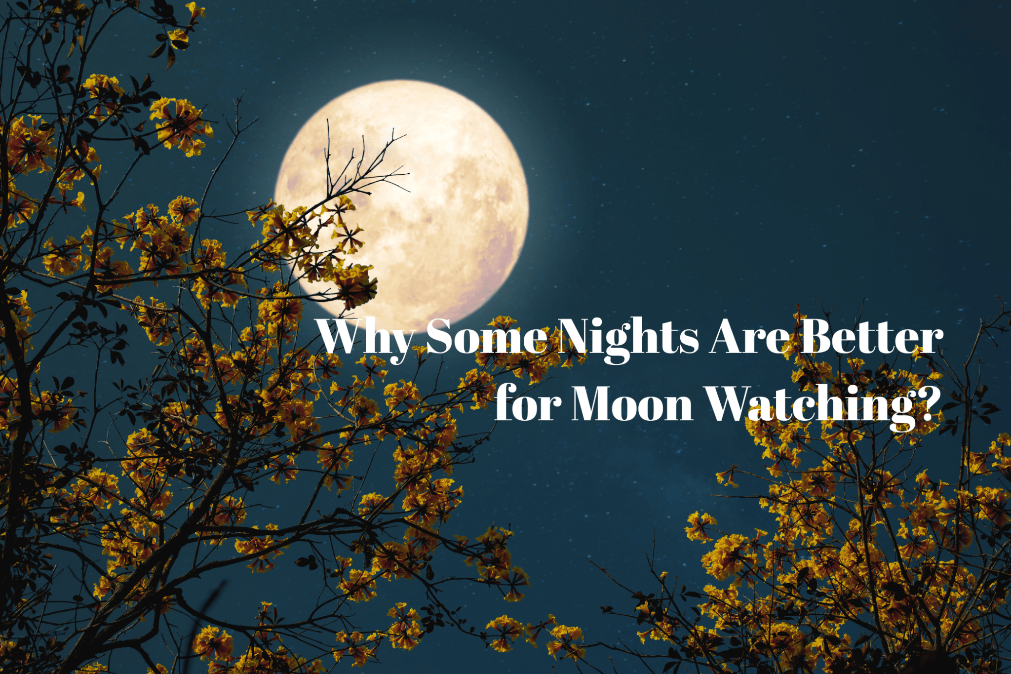 Why Some Nights Are Better for Moon Watching? - Luzsco