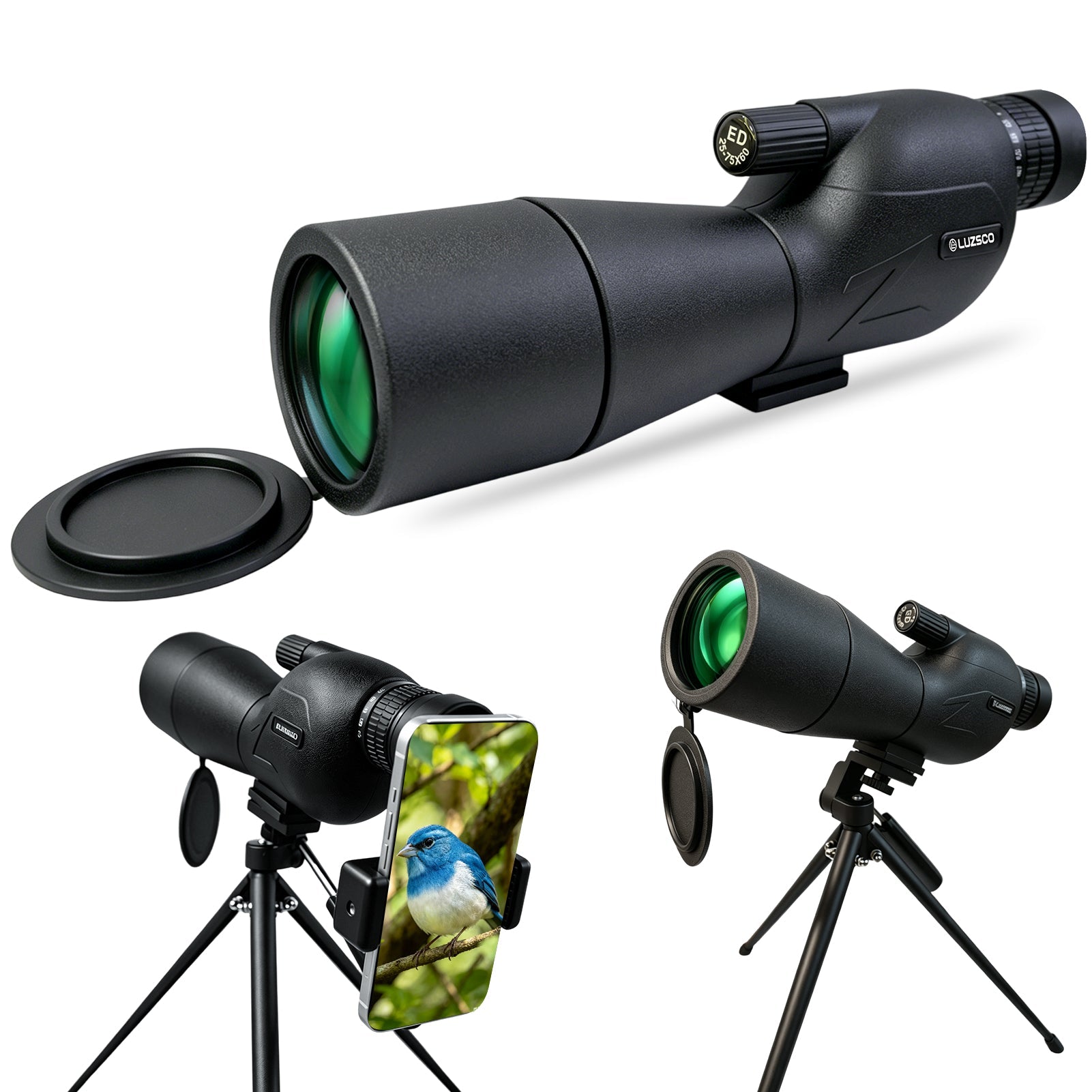25-75x60 Bird Watching Spotting Scope with Tripod & Phone Adapter | Lightweight Zoom Telescope for Wildlife and Nature Observation - Luzsco